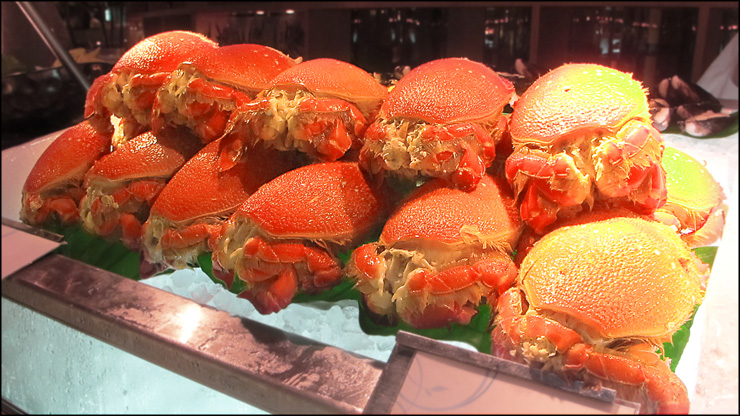 <食記>人氣一品之歷久不衰Buffet之王!! 喜來登十二廚自助餐廳